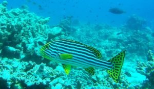 IMG_20200209_163135