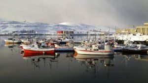 FB_IMG_1583483313109-1