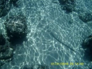 FB_IMG_1583512603586