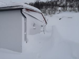IMG_20200317_082139
