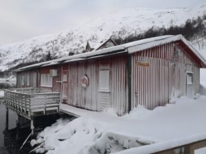 IMG_20200317_082612