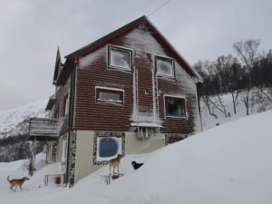 IMG_20200317_082708
