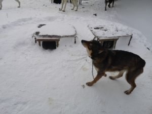 IMG_20200317_082814
