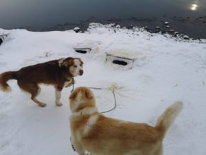 IMG_20200317_082825
