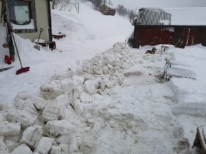 IMG_20200319_124949