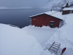IMG_20200320_115021