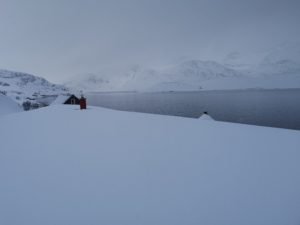 IMG_20200320_115026_1