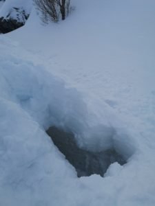 IMG_20200320_123158