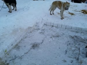 IMG_20200320_171923