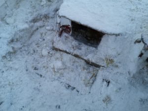 IMG_20200320_171929