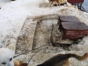 IMG_20200326_134123