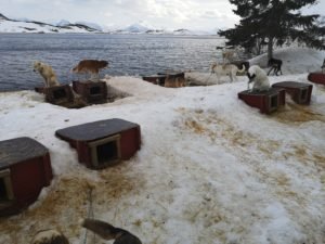 IMG_20200326_134244