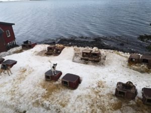 IMG_20200326_173320