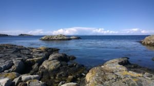 WP_20170425_12_42_26_Pro