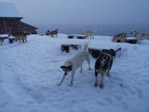 IMG_20200403_131038