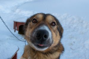 IMG_9379