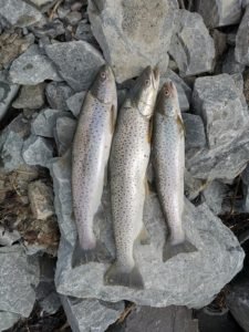 2-4