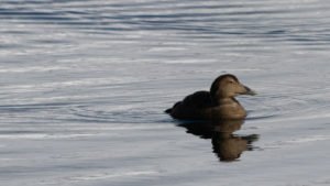 IMG_1245