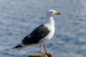 IMG_1261