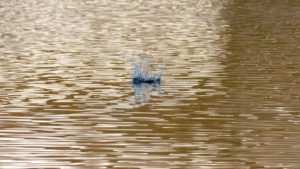 IMG_1311