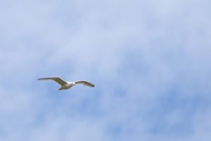 IMG_7889