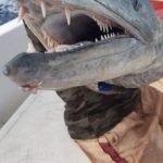 fb_img_1594282241224