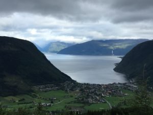 IMG_0230