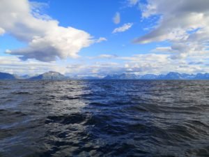 IMG_20200726_185309