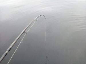 117227266_973666196414176_3096832571301858665_n