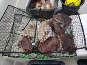 20180503_114014