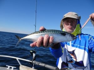 DSC00090-800x600