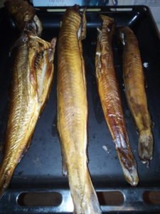 IMG_20200805_003152