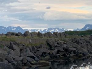 IMG_2460-1