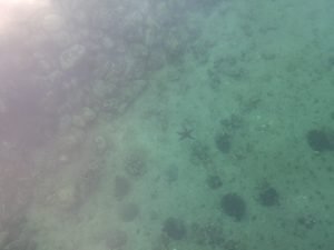 IMG_20200915_173912