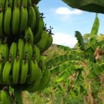 fb_img_1601883461160-1