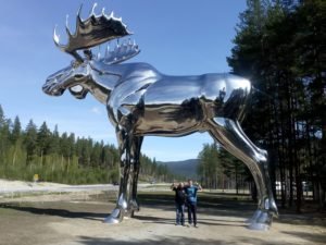 IMG_20170527_120347