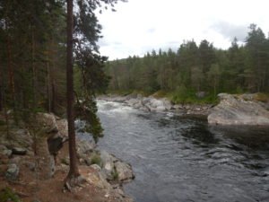 DSCN0274
