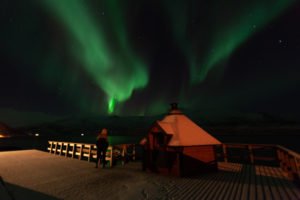 IMG_8526