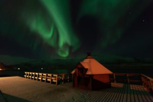 IMG_8528