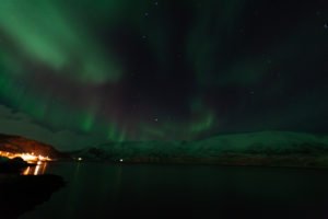 IMG_8532
