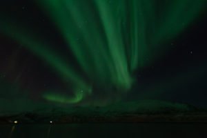 IMG_8538