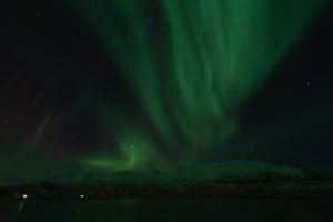 IMG_8540