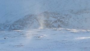 IMG_2004