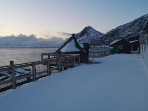 IMG_20210206_090612