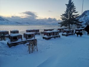 IMG_20210206_090840