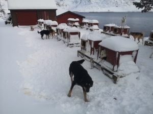 IMG_20210306_114940