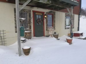 IMG_20210306_114947