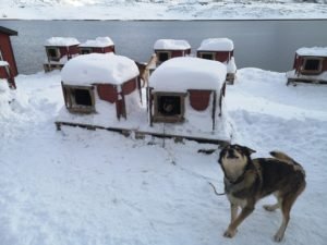 IMG_20210306_120630