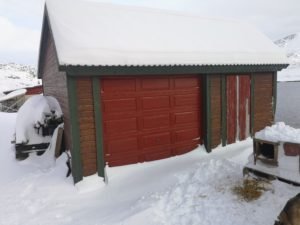 IMG_20210306_120639