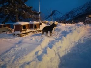 IMG_20210307_175214